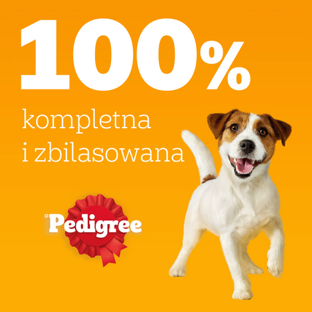 Pedigree Adult Wybór Smaków w galaretce 40x100g