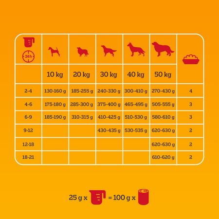 Pedigree Junior z wołowiną 2,6 kg