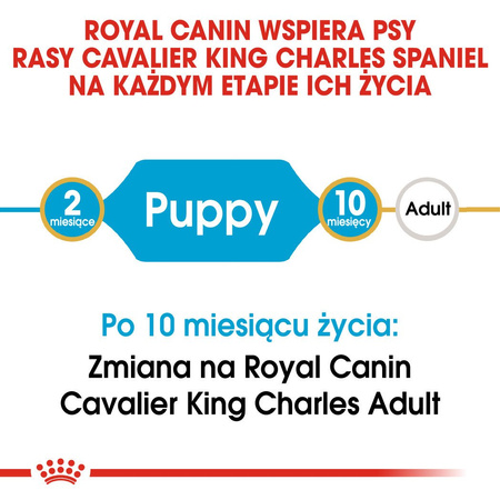 ROYAL CANIN Cavalier King Charles Spaniel Puppy