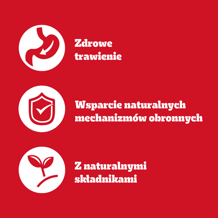 PEDIGREE Adult puszka 1200g - mokra karma dla psów, z wołowiną w galaretce