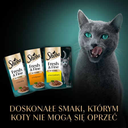 Sheba Fresh Fine kurczak indyk kaczka w sosie 6x50g
