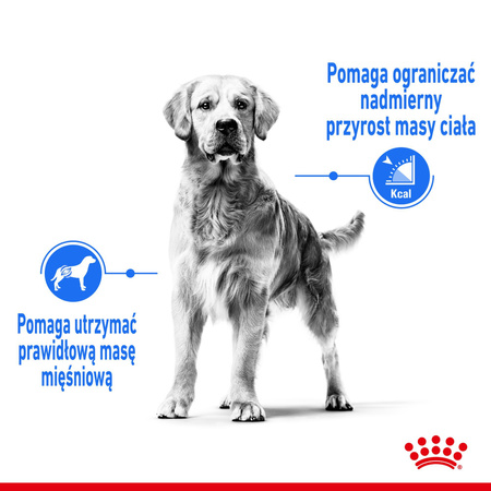 ROYAL CANIN Medium Light Care 3kg karma sucha dla psów dorosłych, ras średnich tendencją do nadwagi