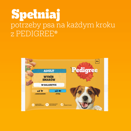 Pedigree Adult Wybór Smaków w galaretce 4x 100g