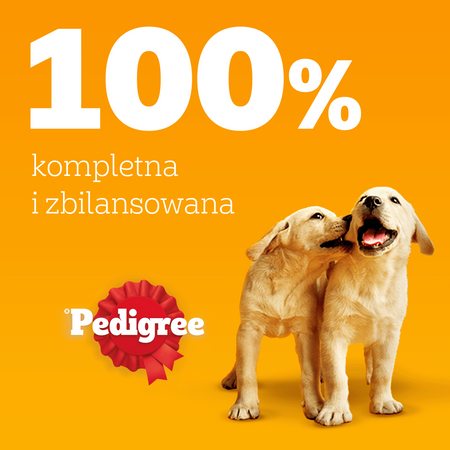 Pedigree Junior Kurczak ryż w galaretce 100g