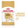 Royal Canin Labrador Retriever Adult 5+ karma sucha dla dojrzałych psów rasy yorkshire terrier, powyżej 5 roku życia - 3kg